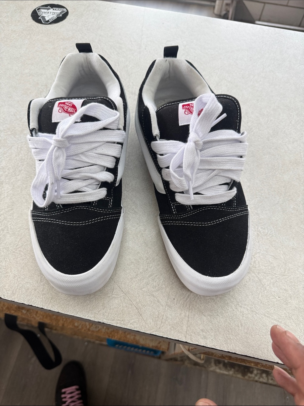 Vans Black & White Low-Top Skate Sneakers